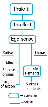 Evolution in Samkhya.jpg