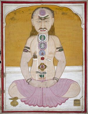 Oriental MS Indic beta 511 Wellcome L0029118.jpg