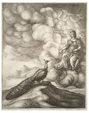 Juno and the peacocks (State 1).jpg