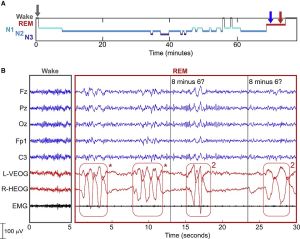 Interactive dreaming (USA group).jpg