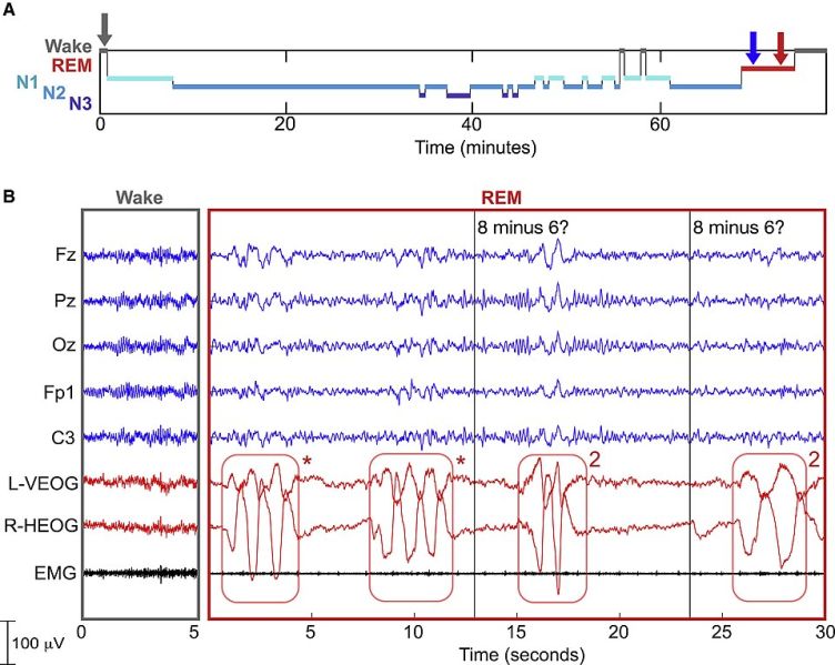 Datei:Interactive dreaming (USA group).jpg