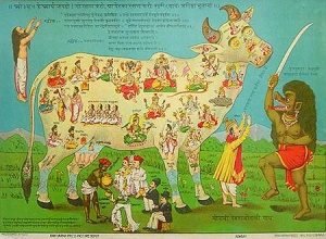 Sacred cow2.jpg