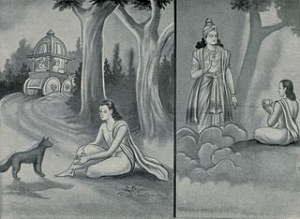 Kashyapa in the form of animal.jpg