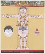 Moxibustion und Blutzapfung