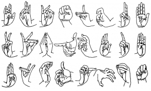 Mudras788.png