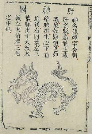 The spirit of the liver.jpg